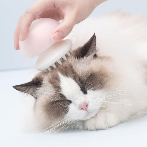 FREE GIFT  - Gentle Grooming Brush