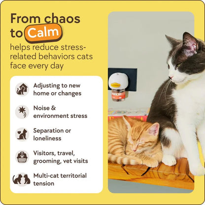 TheraPet Calmora™ - The Secret to a Calmer Cats, Happier Homes