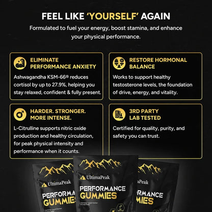 ULTIMAPEAK SHILAJIT GUMMMIES - 6 IN 1 SUPPORT